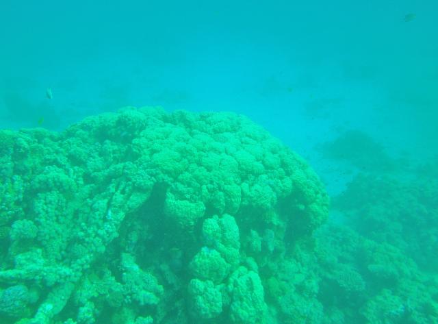 DSC07252.jpg