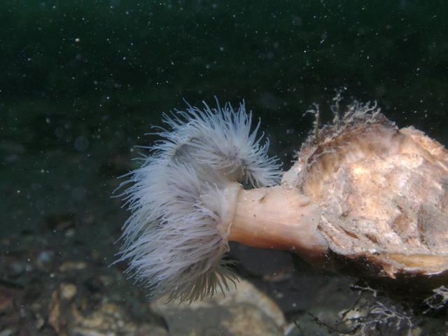 1-PICT0023.jpg