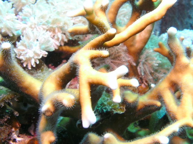 1-PICT0133.jpg