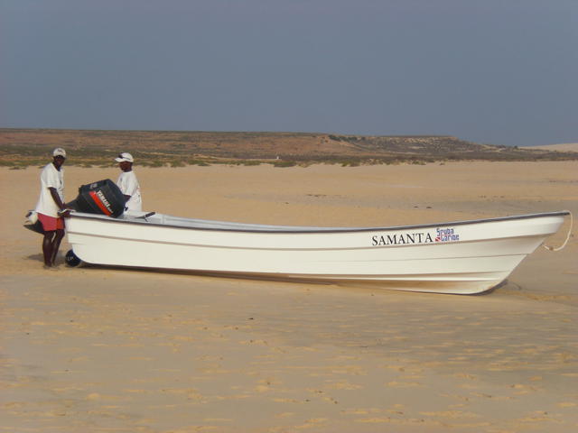 CIMG2460.jpg