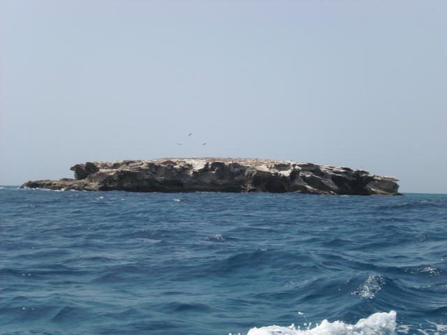 CIMG2549.jpg