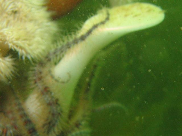 2012-07-14 12.57.02.jpg