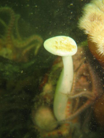 2012-07-14 12.58.26.jpg