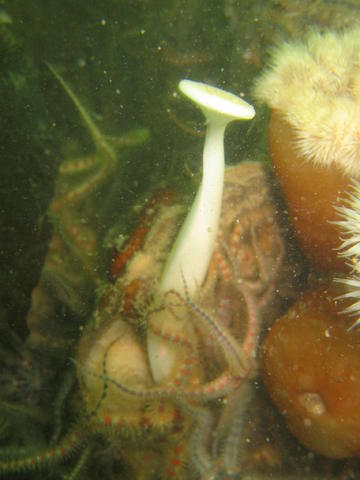 2012-07-14 12.58.47.jpg