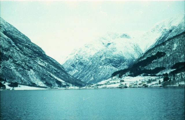 IMAGE0009.jpg